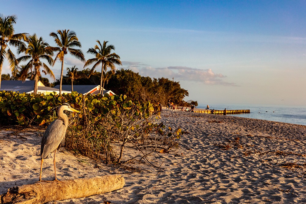 Blind Pass Beach Sanibel Island